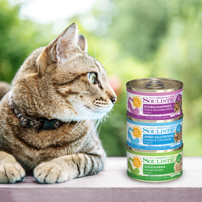 A cat lies contentedly next to a can of Soulistic Aqua Grill cat food.