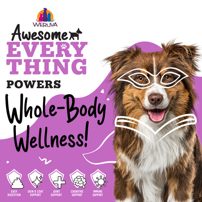 A smiling dog with a white outline on its face and chest sits beside the text: Awesome Functions powers Whole-Body Wellness! Awesome Everything Chicken Breast & Red Rice Recipe with Pumpkin supports digestion, skin & coat, joints, cognition, and immunity.