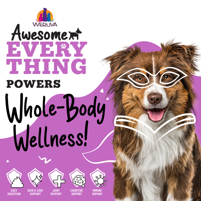 A happy brown and white dog with white line art glasses and a book sits before a purple background, promoting multicare support from Awesome Functions Awesome Everything Super Chicken Bone Broth for digestion, skin, joints, brain, and immune health.