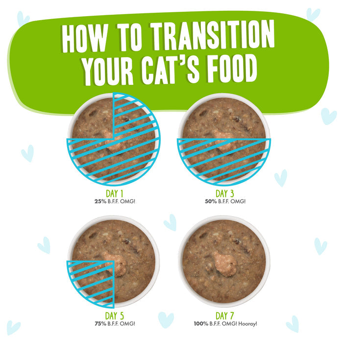 Infographic shows four bowls for transitioning to BFF Best Feline Friend Chicken & Lamb Selfie Cam!: Day 1—25%, Day 3—50%, Day 5—75%, Day 7—100% new food. Titled “How to Transition Your Cat’s Food.”.