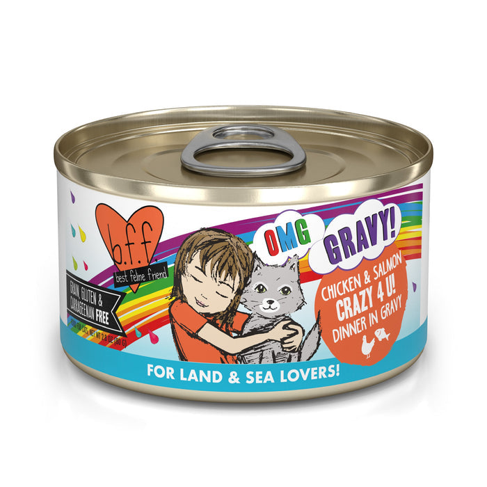 A can of BFF Best Feline Friend Chicken & Salmon Crazy 4 U! features cage-free chicken, wild-caught salmon, a child hugging a gray cat, rainbow accents, and “For Land & Sea Lovers!”—ideal for cats that love gravy.