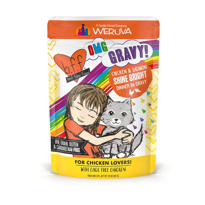 A vibrant pouch of BFF Best Feline Friend Chicken & Salmon Shine Bright cat food, with a girl hugging a gray cat, rainbow accents, and text for cage-free chicken & wild-caught salmon in gravy. BPA, grain, gluten & carrageenan free.