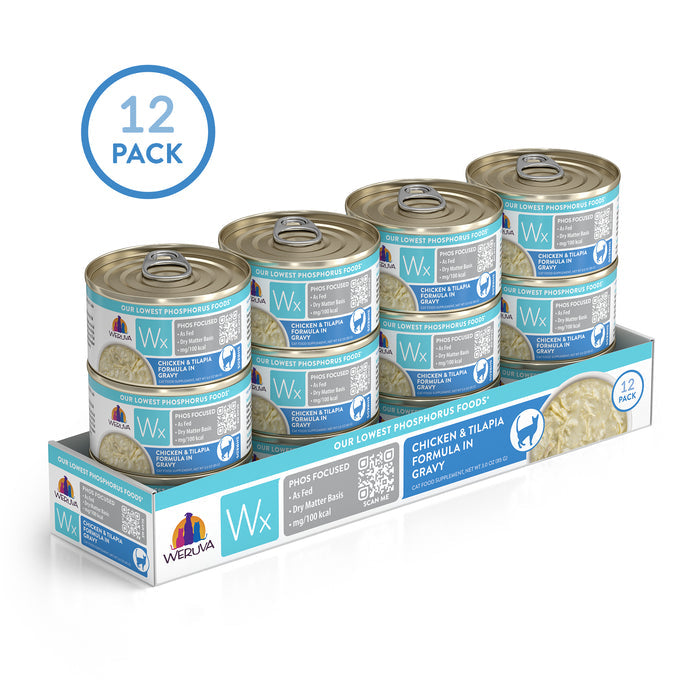 A 12-pack of Weruva Wx Phos Focused Chicken & Tilapia Formula in Gravy, a low phosphorus cat food for kidney health, comes in blue and white cans neatly arranged on a cardboard tray.