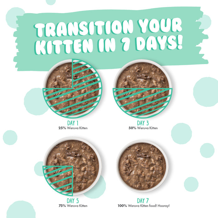 Four bowls of Weruva Chicken & Tuna Formula in Gravy show a 7-day transition: 25% new food on Day 1, 50% on Day 3, 75% on Day 5, and full transition by Day 7—"Transition Your Kitten in 7 Days!" overlays highlight each step.