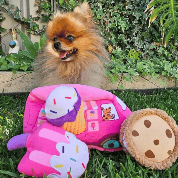 Dog Ice Cream Truck Burrow Toy - Interactive Toys from . at DoggyTopia