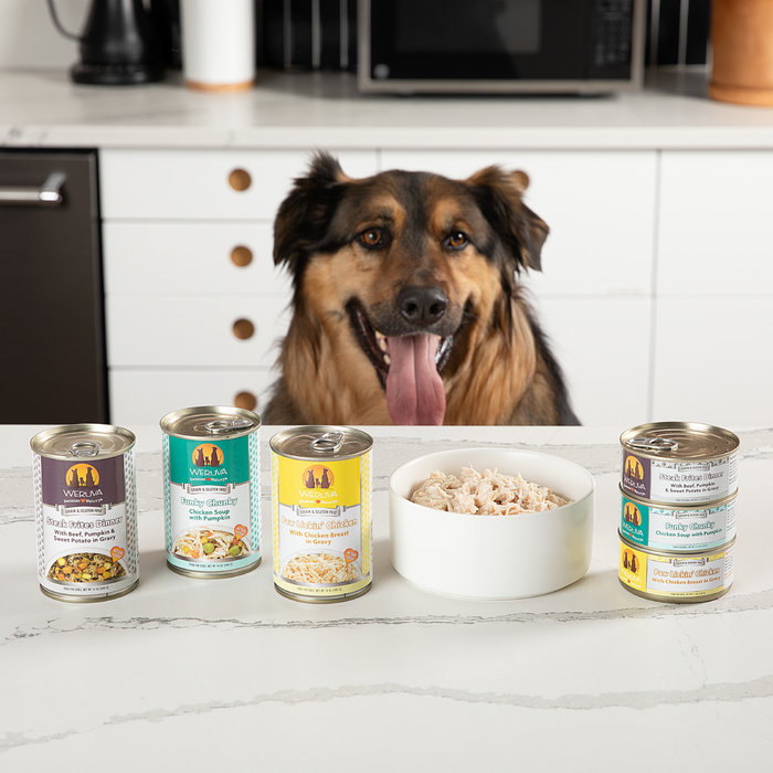 A happy dog sits at a kitchen counter with its tongue out, behind a bowl of shredded food and five cans of Weruva Four Feast Clover wild-caught salmon dog food in assorted flavors. A microwave and kitchen items are visible in the background.