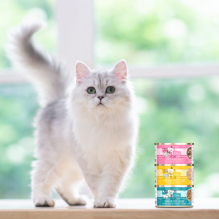 A fluffy white and gray green-eyed cat stands indoors on a wooden surface by a stack of colorful Cats in the Kitchen Kitty Gone Wild high protein cat food cans, with a bright window and greenery in the background.