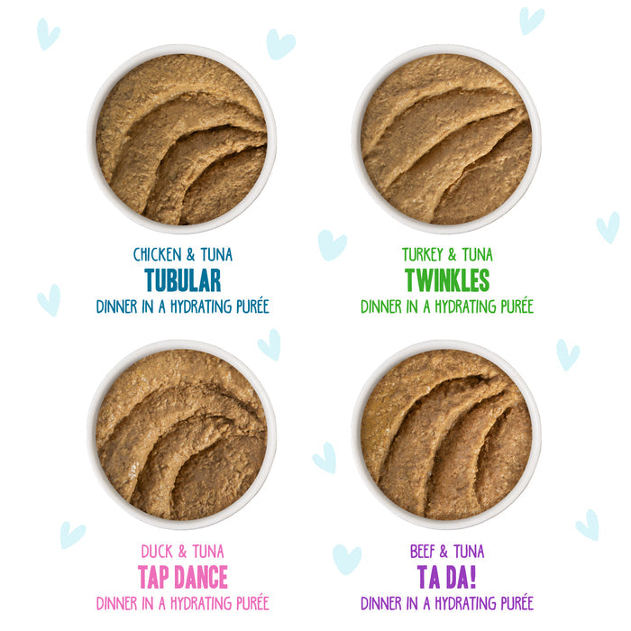Four bowls of BFF Best Feline Friend Paté Jamboree! cat food—chicken & tuna, turkey & tuna, duck & tuna, beef & tuna—shown from above with playful labels and blue heart doodles. This hydrating purée is grain free.
