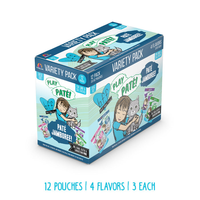 A box of BFF Best Feline Friend Paté Jamboree! grain free cat food features a girl hugging a gray cat, and includes 12 hydrating purée pouches (3 each of 4 flavors) with colorful flavor images on the side.