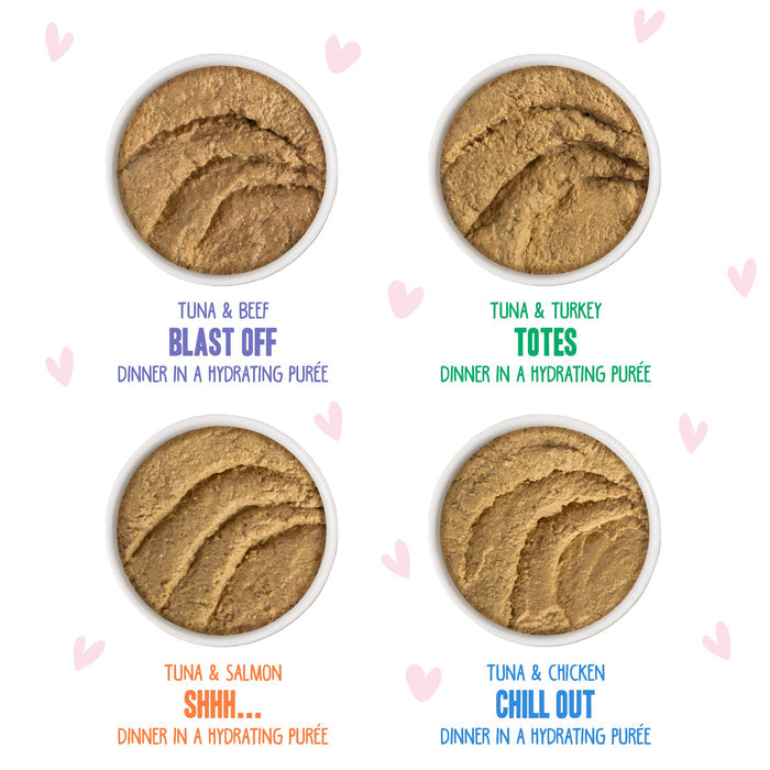 Four bowls of BFF Best Feline Friend Paté Partay! grain-free cat food purée—Blast Off (tuna & beef), Totes (tuna & turkey), Shhh... (tuna & salmon), and Chill Out (tuna & chicken)—sit on a background decorated with pink hearts.