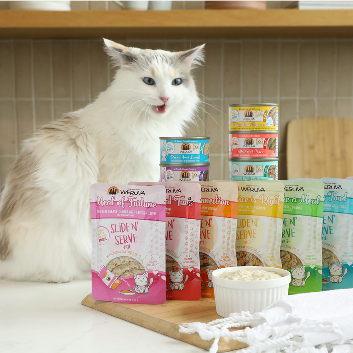 A fluffy white and gray cat sits on a kitchen counter beside Weruva Press Your Lunch! pouches and cans, with a bowl of puréed cat food in front. The cat is licking its lips, surrounded by these tasty meals.