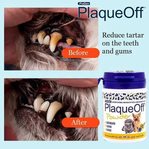 ProDen Plaque Off Dental Powder
