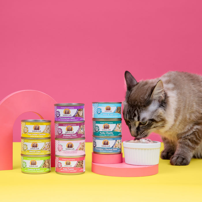 A gray cat eats from a white bowl beside stacks of Weruva Pumpkin Patch Pack variety packs and colorful chicken cat food cans, all set against a vibrant pink and yellow background.