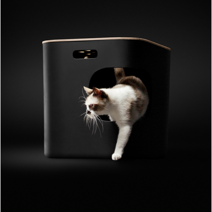 A white and gray cat steps out of the Weruva Skylight Litter Box, which features a corner entry, ventilated wooden lid, and rounded entrance in a boxy, modern design against a dark background.