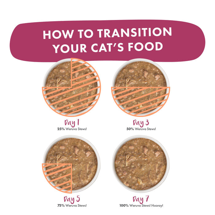 An infographic titled How to Transition Your Cat's Food shows four bowls for days 1, 3, 5, and 7, gradually increasing the percentage of Weruva Stewlander—made with cage-free duck and wild-caught salmon—from 25% to 100%.