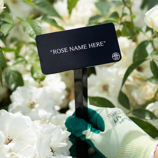 Sunshine Sally Garden Marker