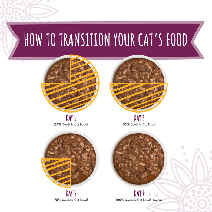 Four bowls show a gradual switch to Soulistic Tuna & Beef Dinner in Gravy over 7 days: Day 1—25%, Day 3—50%, Day 5—75%, Day 7—100%. Title: How to Transition Your Cat’s Food.
