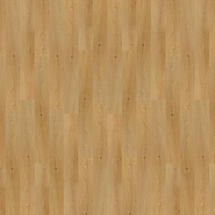 VENUS- NAF 5mm Aqua Commercial Dry Back Vinyl Looselay - ADVANCED FLOORING