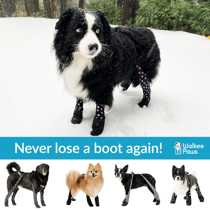Walkee Paws NEW DELUXE Boot Leggings