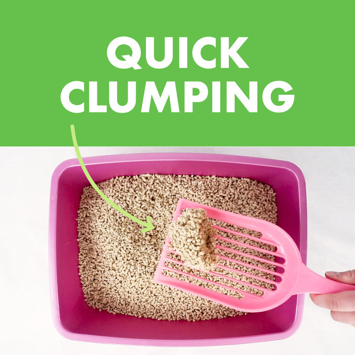 A hand uses a pink scoop to lift Weruva Cat Litter—an all-natural, clumping litter with odor control—from a pink box. Above, bold white text on green reads "QUICK CLUMPING," with an arrow pointing to the clumped litter.